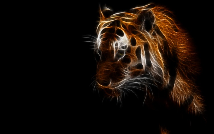 Fonds d'cran Animaux Flins - Tigres Light tiger