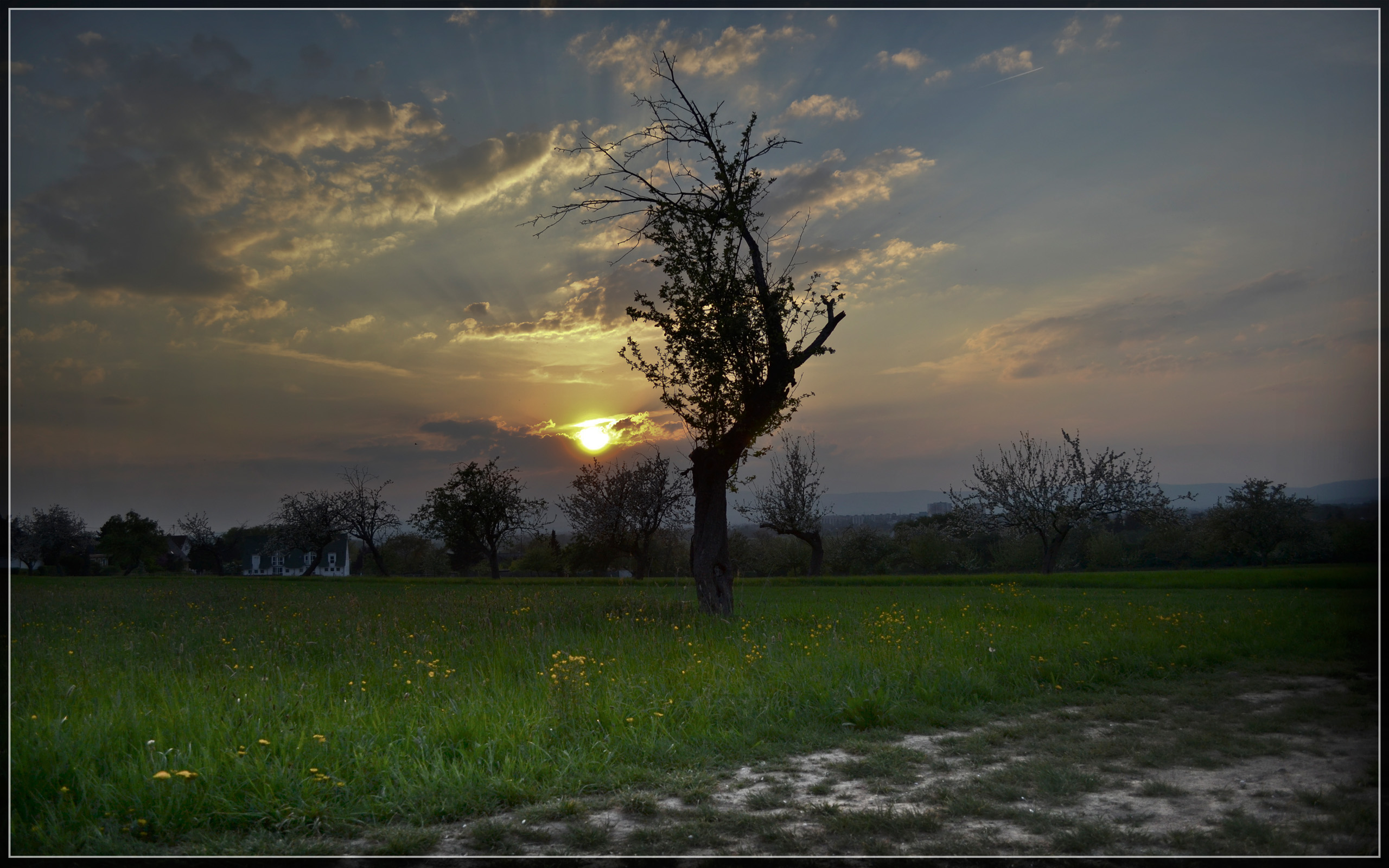 Fonds d'cran Nature Paysages Dachsberg