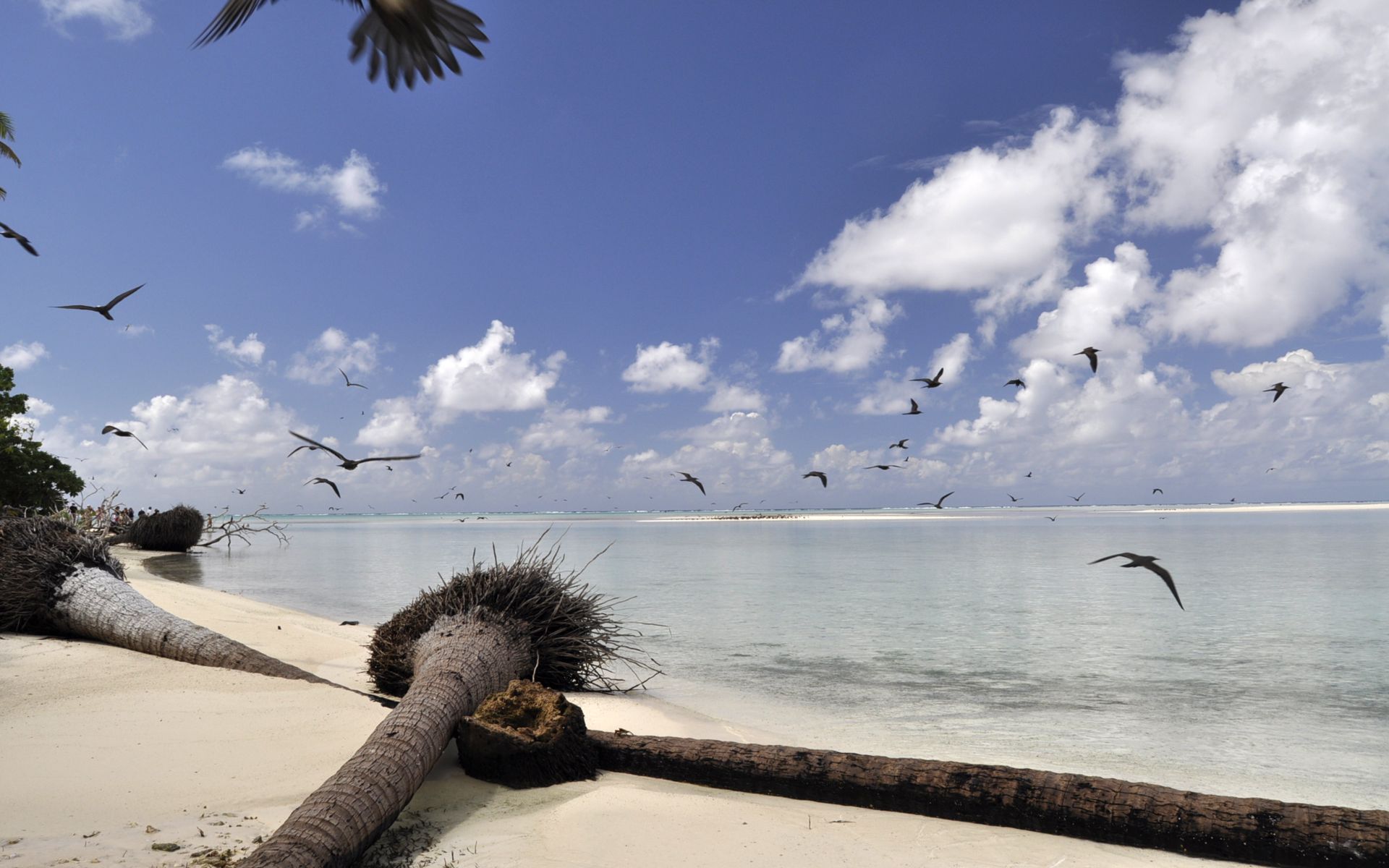 Fonds d'cran Nature Mers - Ocans - Plages 