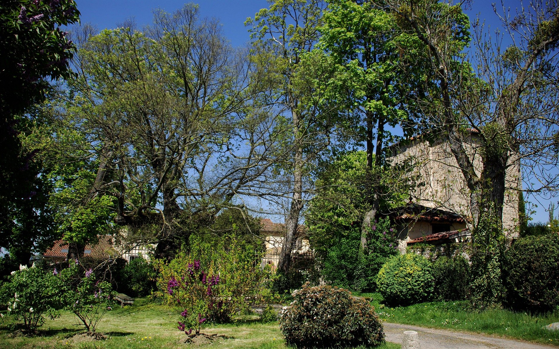 Fonds d'cran Nature Paysages Entre du chateau de Vernay a st Galmier ,Loire 42