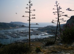 Fonds d'cran Nature port du frioul marseille