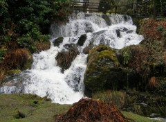 Wallpapers Nature Aberfoyle, Scotland