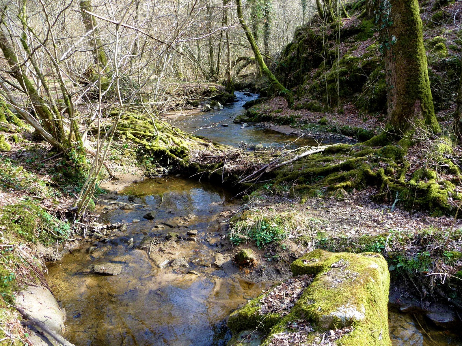 Fonds d'cran Nature Fleuves - Rivires - Torrents Il fait bon s'y ballader!