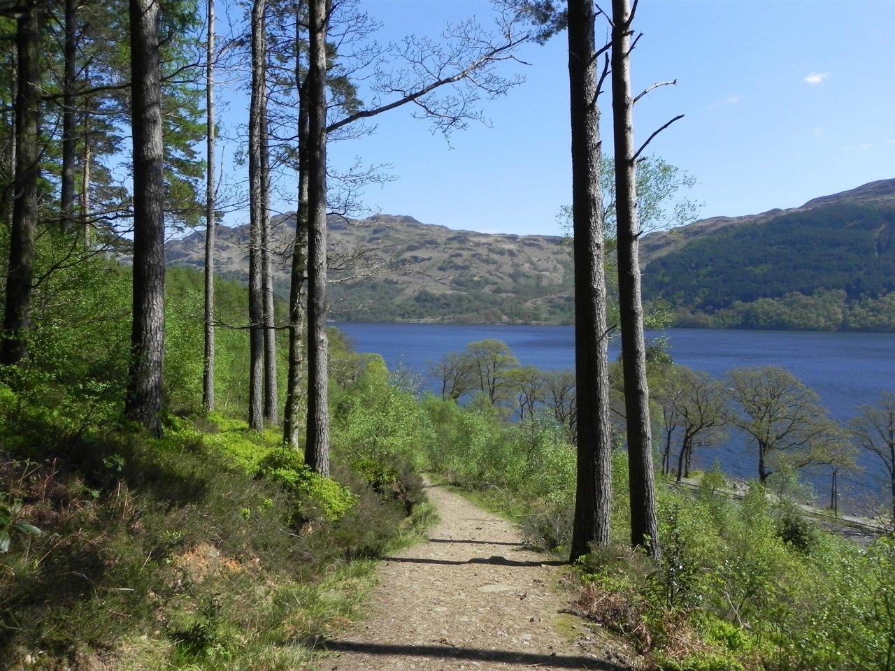 Fonds d'cran Nature Paysages Loch Lomond, Scotland