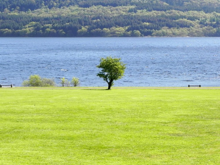 Fonds d'cran Nature Paysages Loch Lomond, Scotland