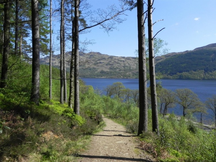 Fonds d'cran Nature Paysages Loch Lomond, Scotland