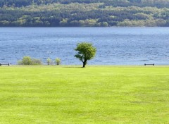 Wallpapers Nature Loch Lomond, Scotland