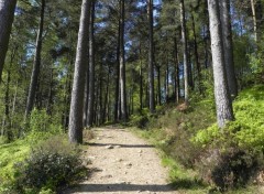 Fonds d'cran Nature Loch Lomond, Scotland