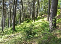 Fonds d'cran Nature Loch Lomond, Scotland