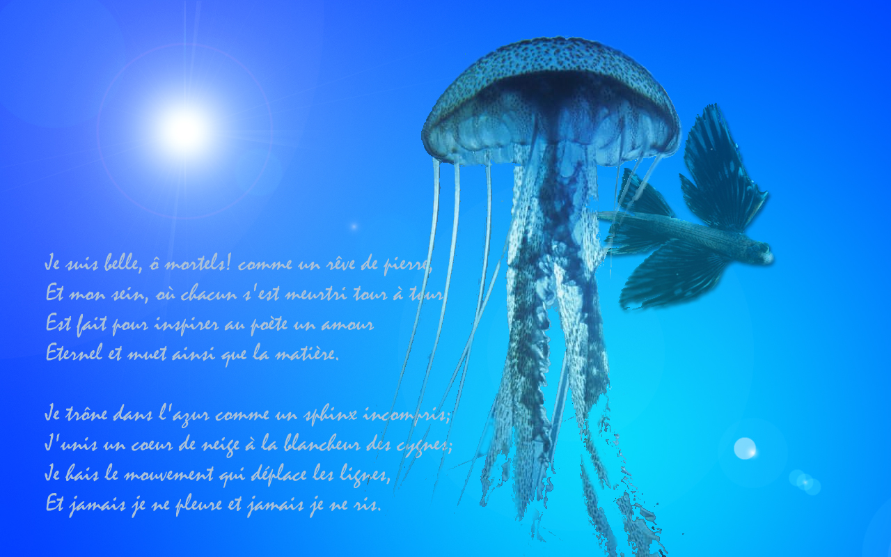 Fonds d'cran Art - Numrique Posie - Texte ocean et poesie