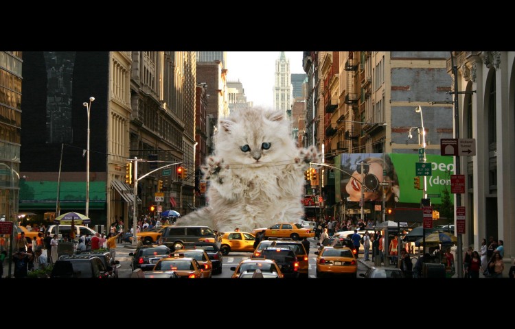 Wallpapers Digital Art Photomanipulation Godzicat