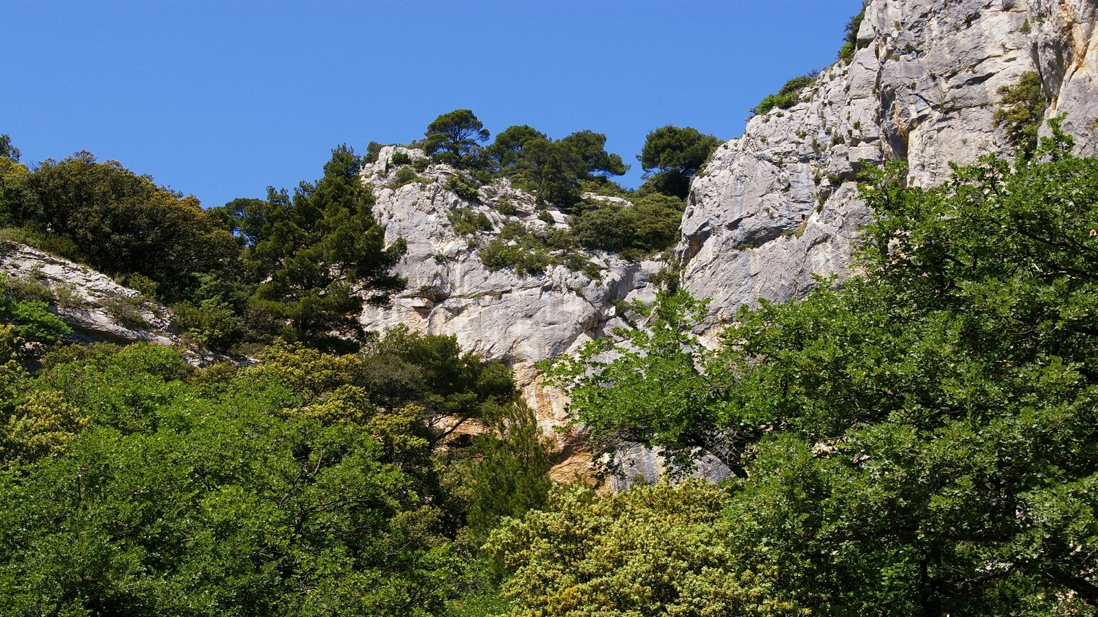 Wallpapers Nature Cliffs in the vaucluse