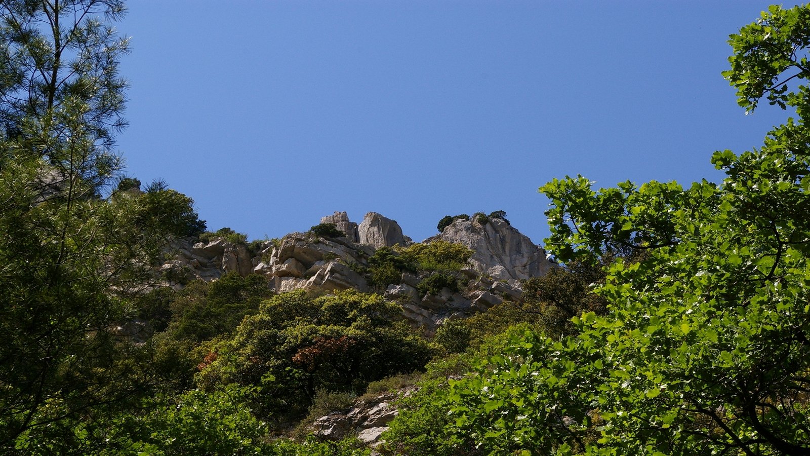 Fonds d'cran Nature Paysages des arbres et de la roche