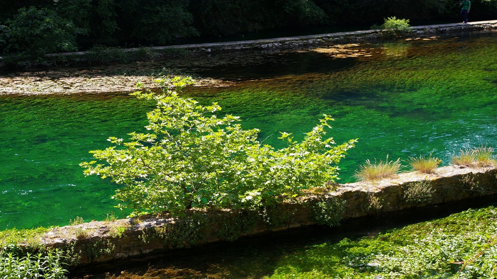 Wallpapers Nature Water fontaine du vaucluse