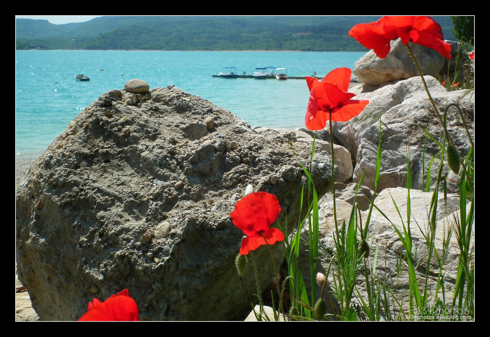 Fonds d'cran Nature Fleurs 