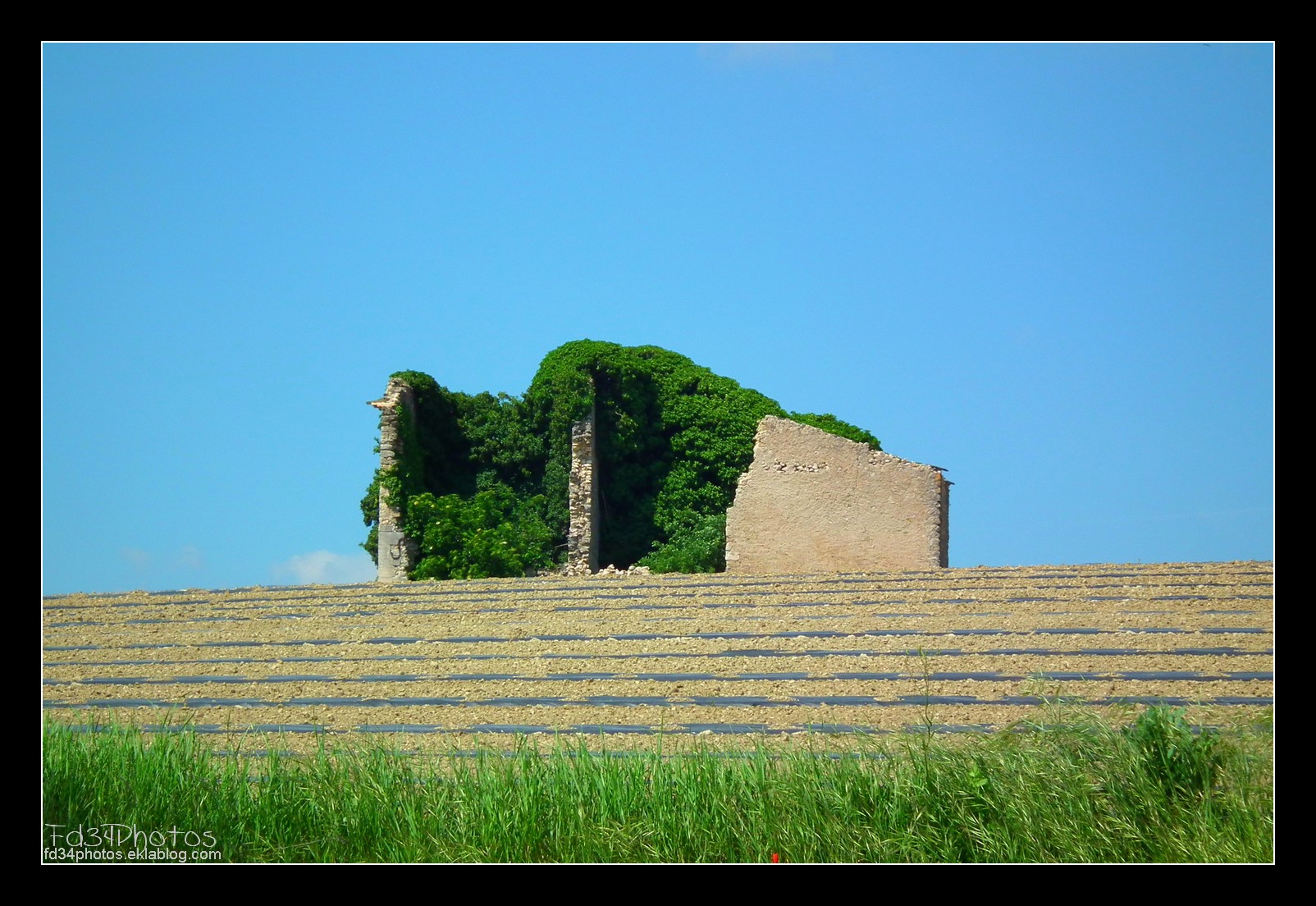 Fonds d'cran Constructions et architecture Ruines - Vestiges 