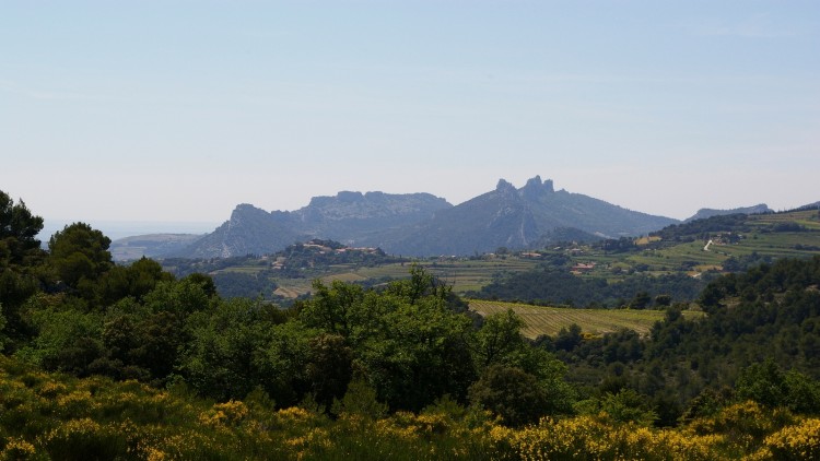 Wallpapers Nature Landscapes dentelles de montmirail