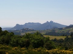 Wallpapers Nature dentelles de montmirail