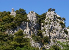 Wallpapers Nature dentelles montmirail