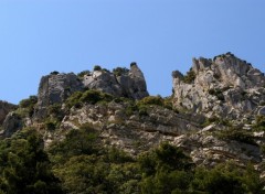 Wallpapers Nature les alpilles