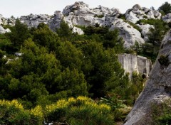 Wallpapers Nature rien que les alpilles