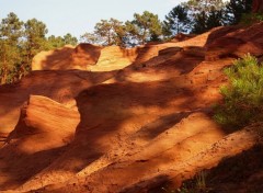 Fonds d'cran Nature ocre est la couleur