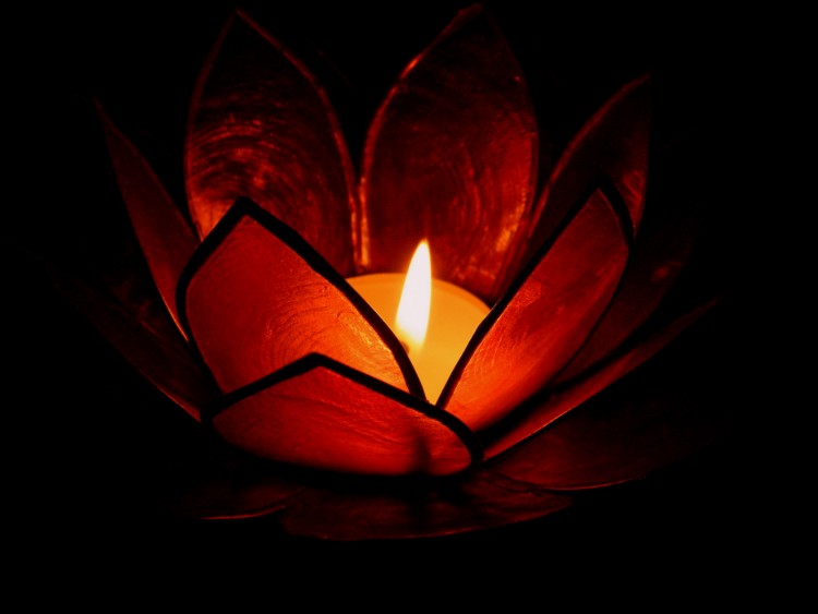 Wallpapers Objects Candles light's lotus