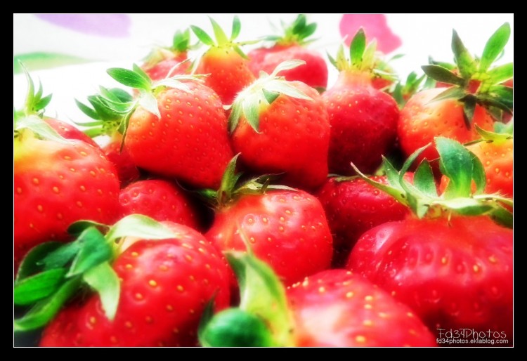 Wallpapers Nature Fruits Wallpaper N280332