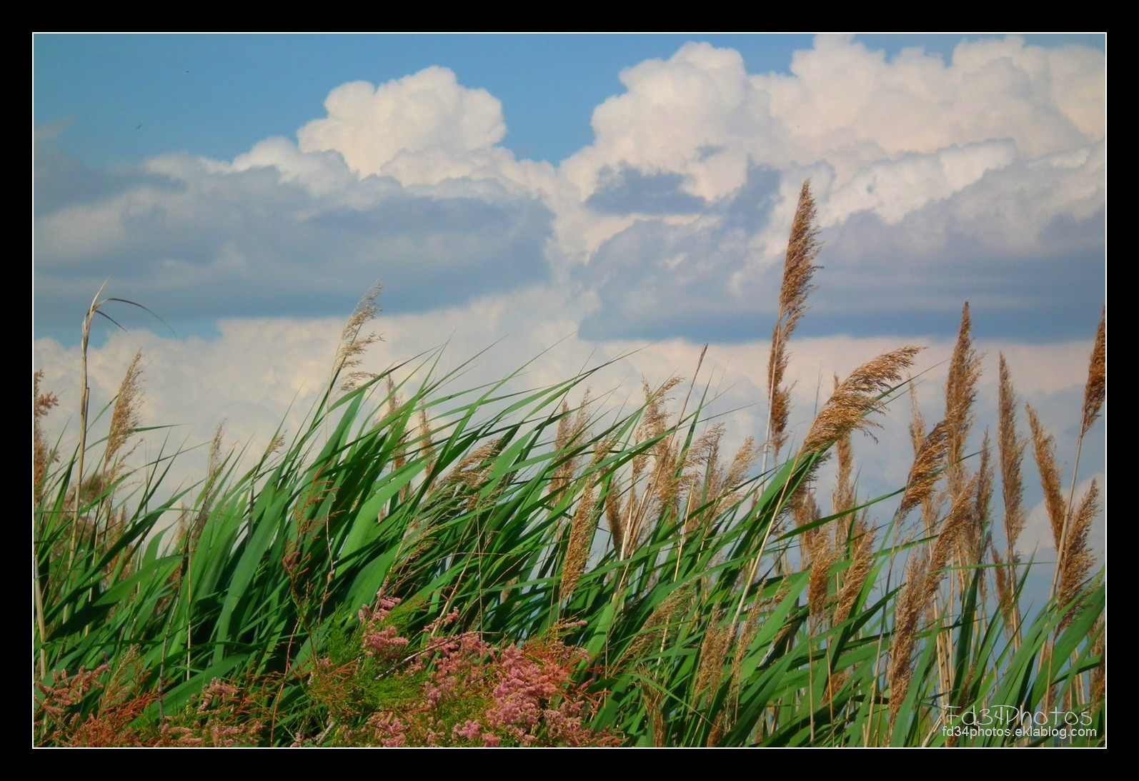 Fonds d'cran Nature Ciel - Nuages 