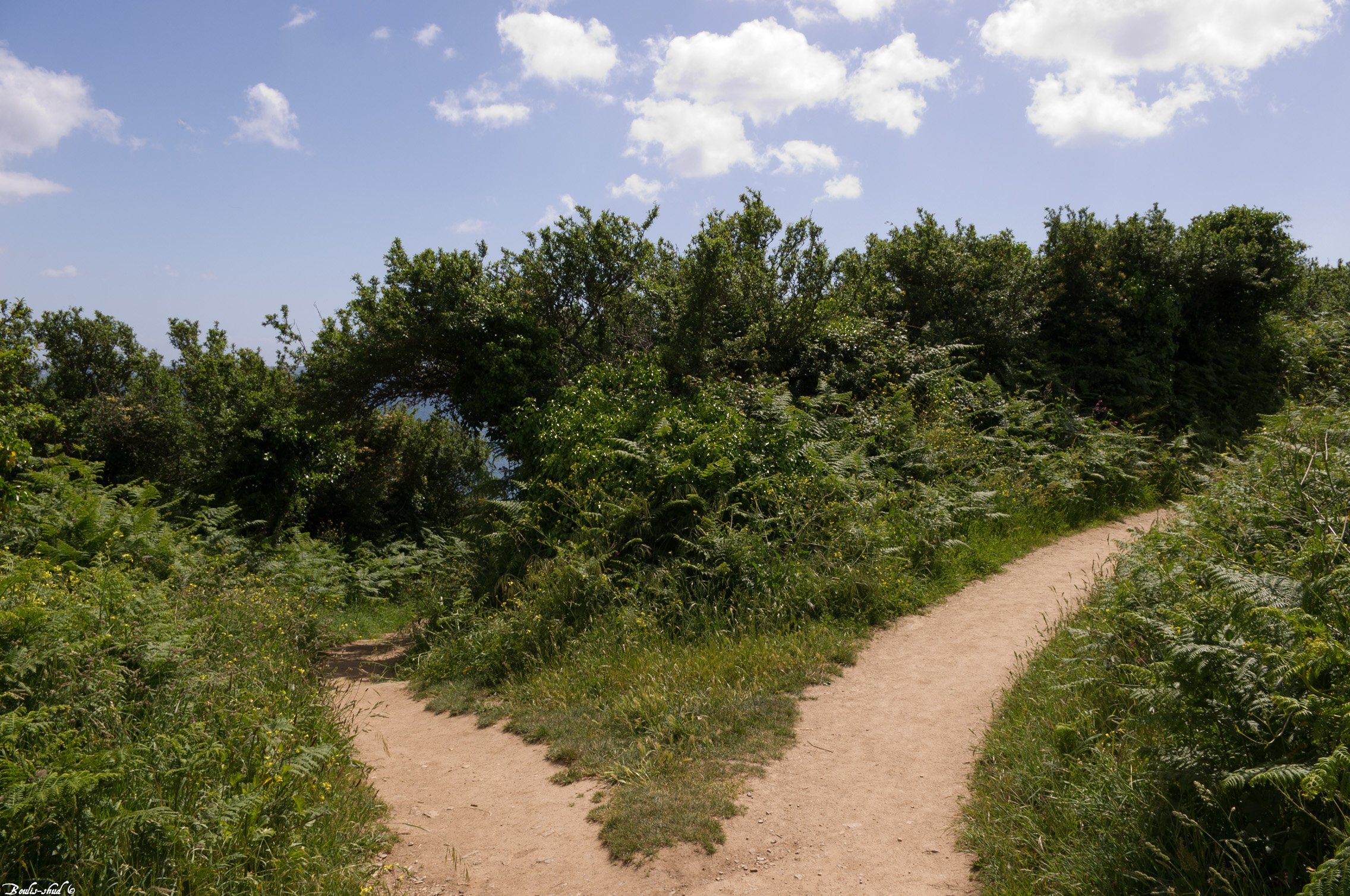 Wallpapers Nature Paths Choix Difficile?