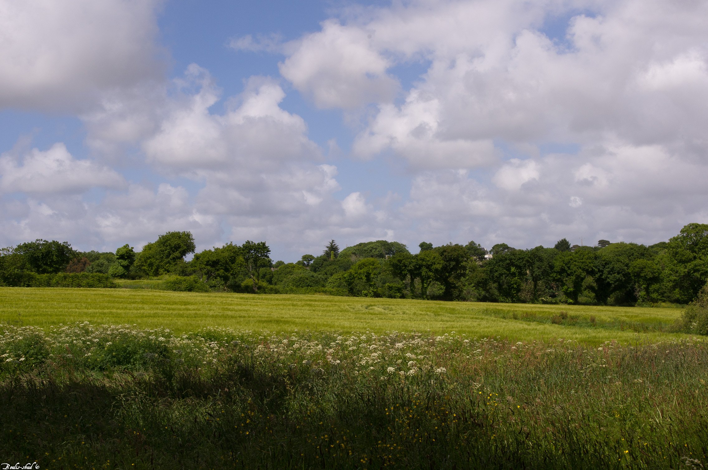 Fonds d'cran Nature Champs - Prairies vert & bleu