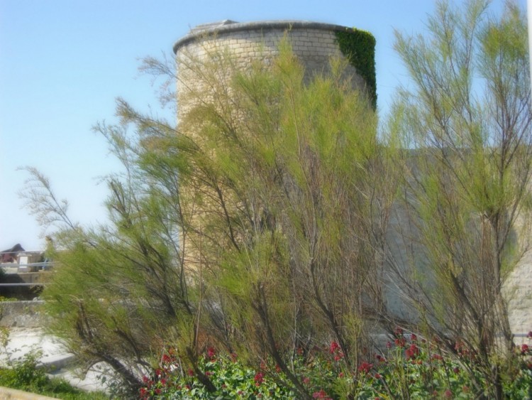 Wallpapers Constructions and architecture Castles - Palace Vauban arbuste