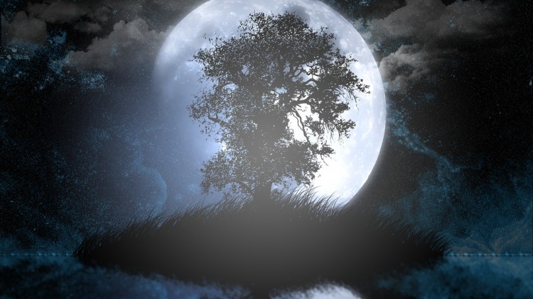 Fonds d'cran Art - Numrique Nature - Divers la lune derrire l'arbre