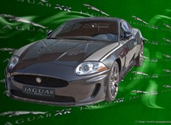 Fonds d'cran Voitures Jaguar XK