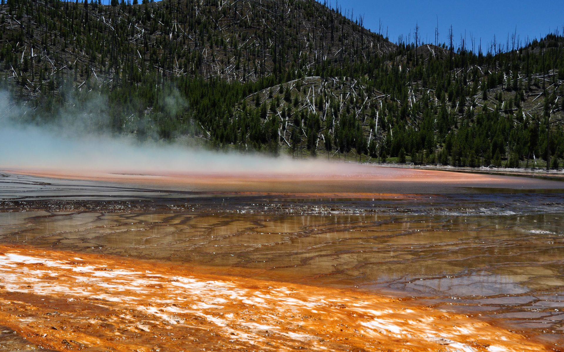 Wallpapers Nature Geysers Geyser  Yellowstone