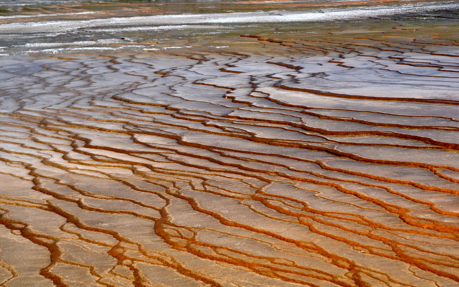 Wallpapers Nature Geysers Vaguelettes acides