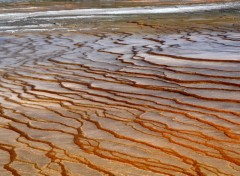 Fonds d'cran Nature Vaguelettes acides