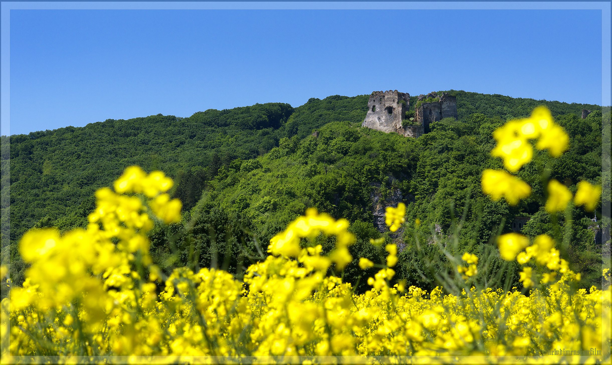 Wallpapers Constructions and architecture Ruins Chteau de printemps.1.