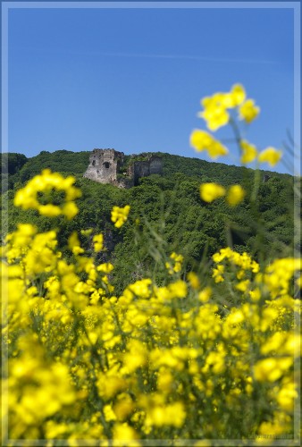 Fonds d'cran Constructions et architecture Ruines - Vestiges Chteau de printemps.2.