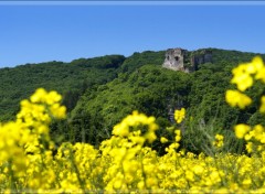 Fonds d'cran Constructions et architecture Chteau de printemps.1.