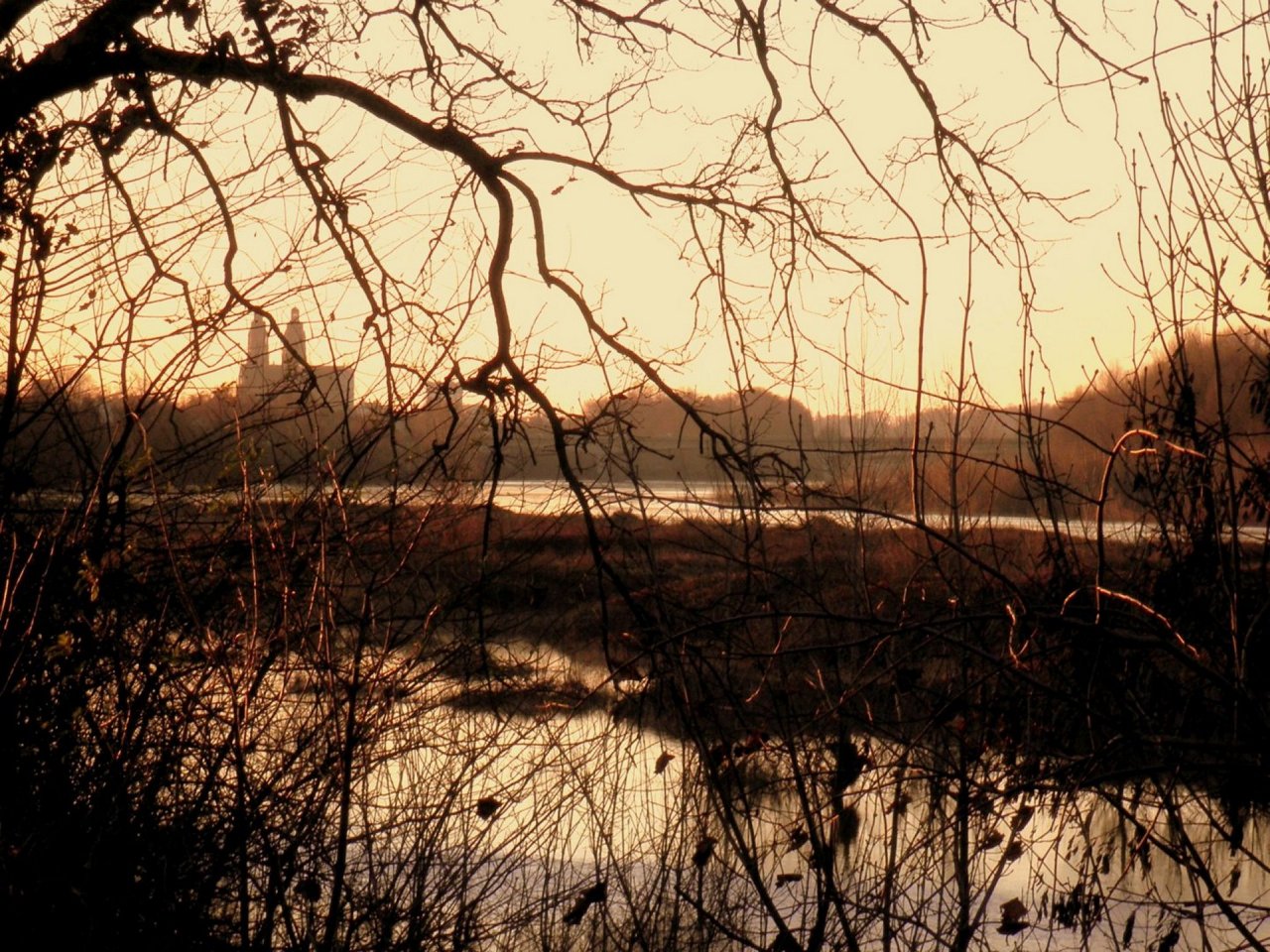 Wallpapers Nature Rivers - Torrents La  Loire 