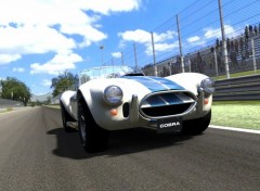 Fonds d'cran Jeux Vido Shelby Cobra