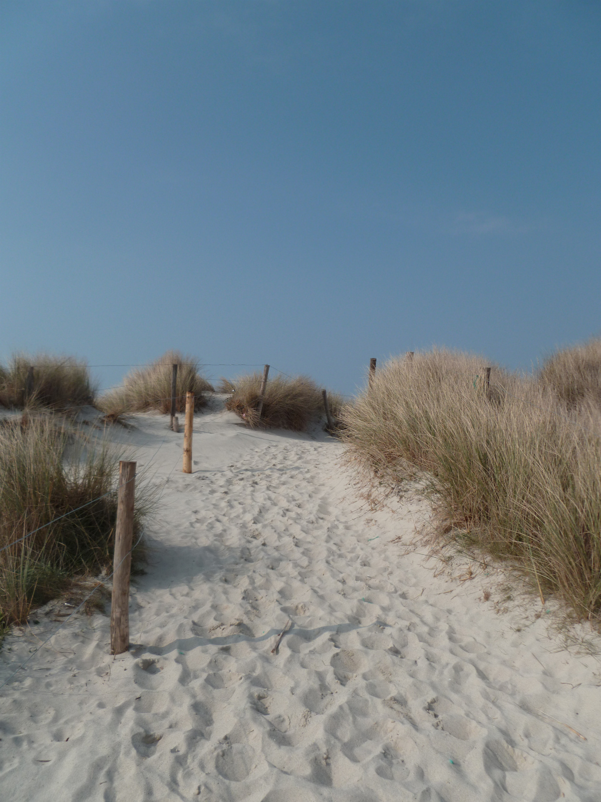 Fonds d'cran Nature Mers - Ocans - Plages Plage