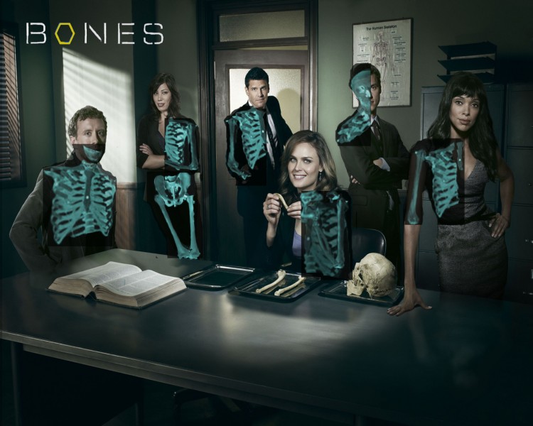 Fonds d'cran Sries TV Bones Bones: scaner