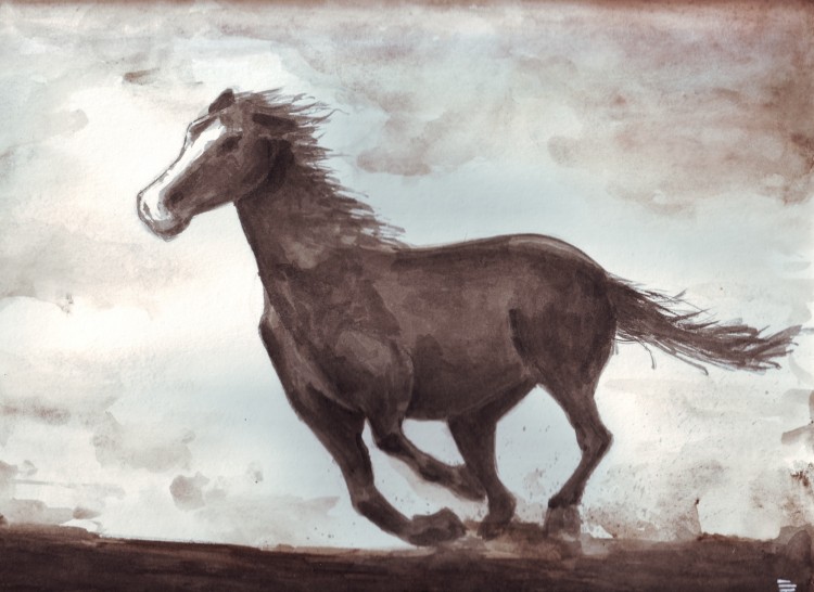 Fonds d'cran Art - Peinture Animaux cheval sauvage