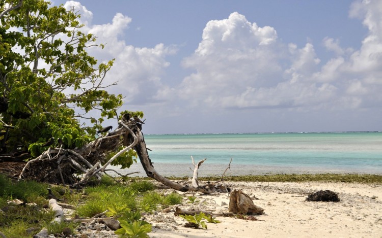 Wallpapers Nature Paradisiac Islands Entre ciel et mer