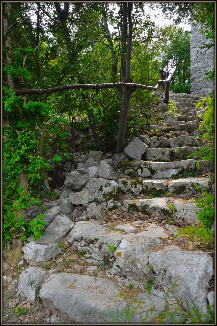 Fonds d'cran Nature Parcs - Jardins C'est par l....