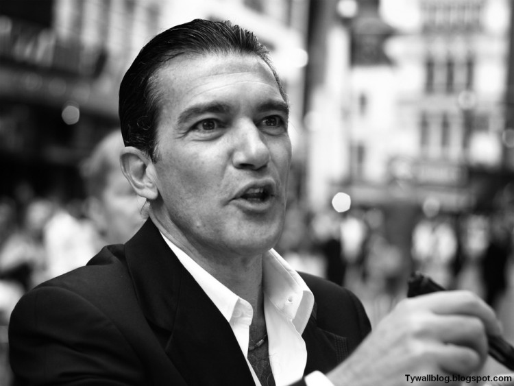 Fonds d'cran Clbrits Homme Antonio Banderas Wallpaper N281261