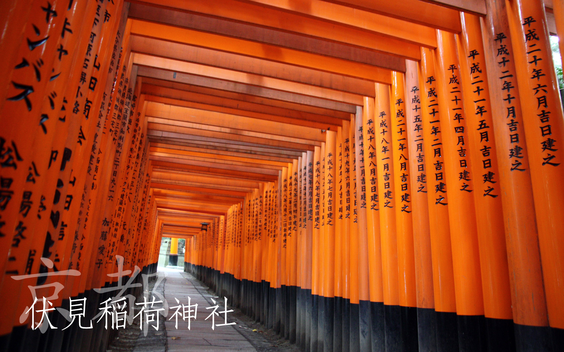 Wallpapers Trips : Asia Japan fushimi inari jinja