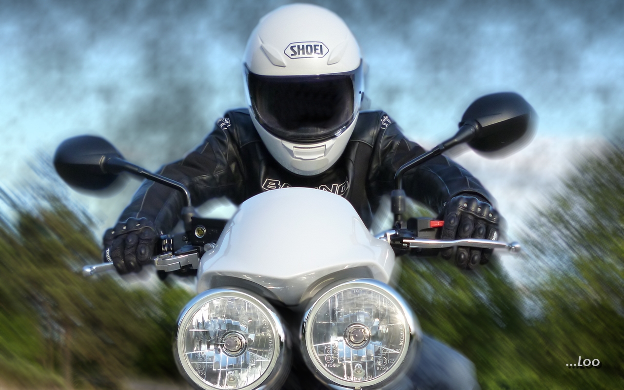 Wallpapers Motorbikes Stunt & Freeride Roadster Triumph